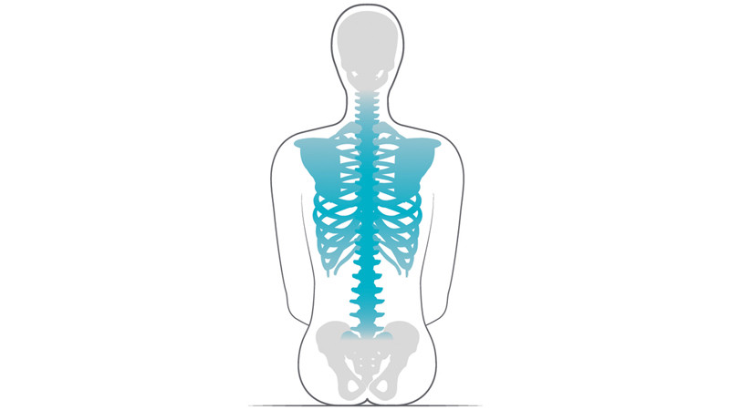Card item block - Body shape Tall Prio 3A